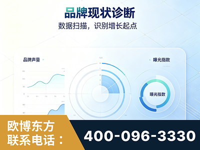 中山-品牌现状诊断