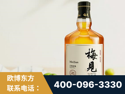 中山-梅见青梅酒